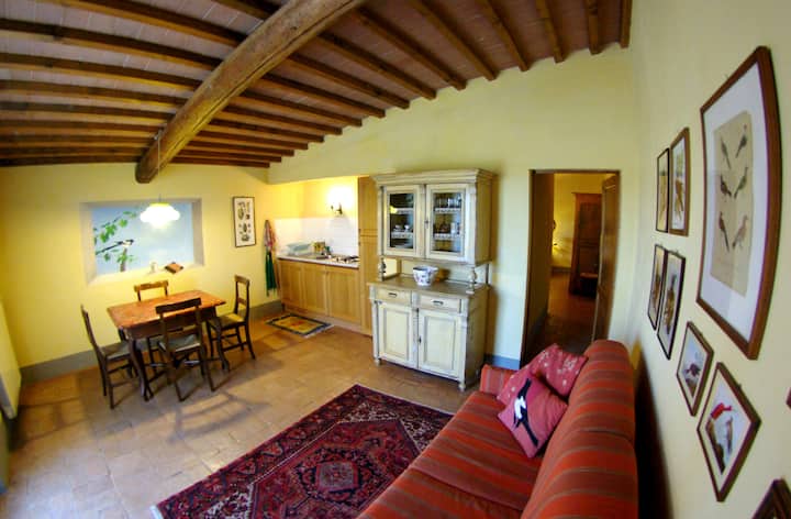 Oasis In Tuscany: Garden, Barbecue, Vineyard View - Foiano della Chiana