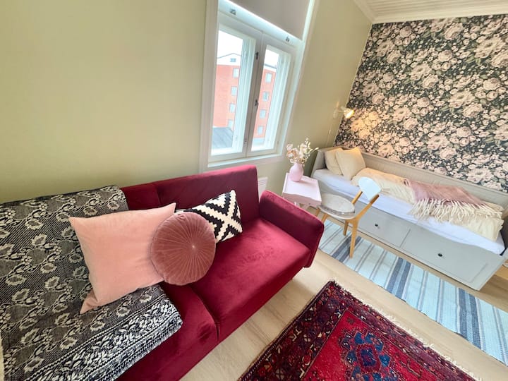 Central Cosy Vintage Studio - Vaasa