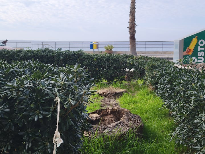Vacanze Sul Lungomare - Capo d’Orlando
