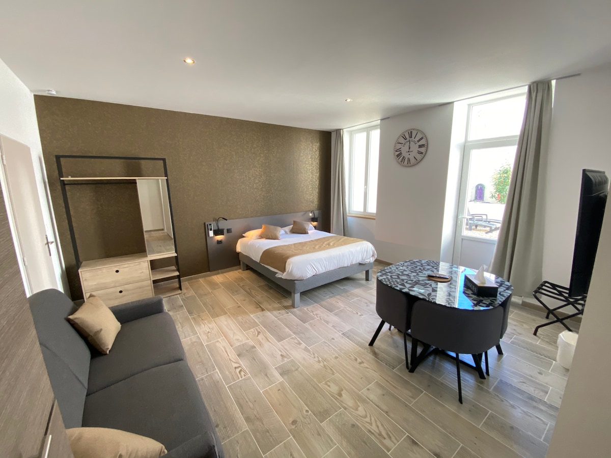 A spacious studio is equipped with a double bed and a convertible sofa. Natural light floods in from large windows, illuminating the room. A dining table and chairs are visible, while a closet provides storage. A television is positioned on a low stand.