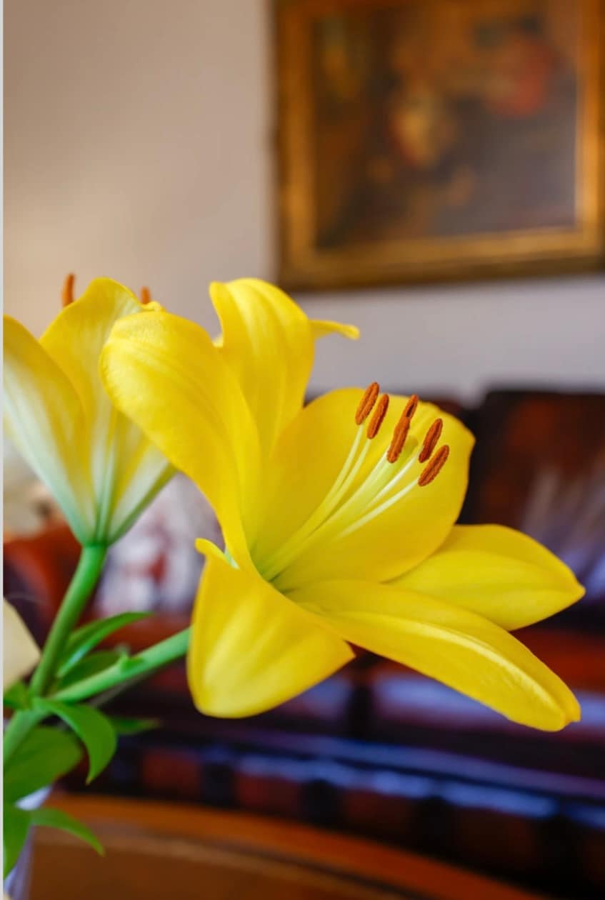 Popular Airbnb listing: Residence Siedlinghausen in Winterberg