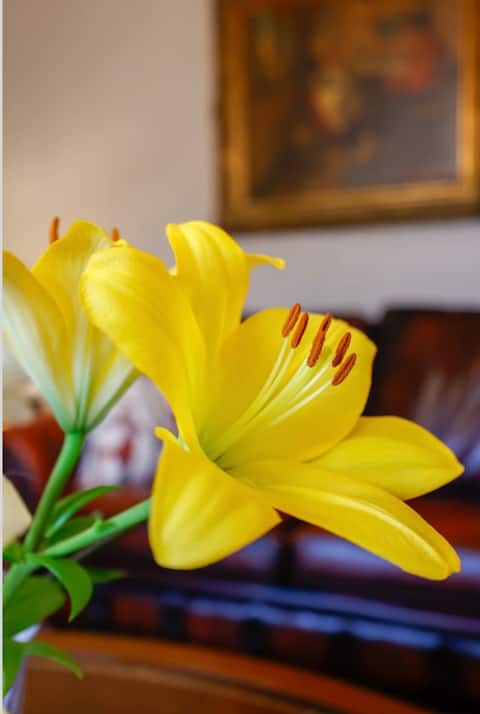 Popular Airbnb listing: Residence Siedlinghausen in Winterberg