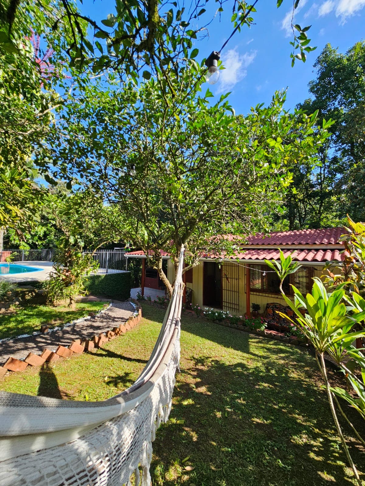 A tranquil garden area is showcased, featuring a hammock gently hanging between trees. The vibrant greenery surrounds a cozy cabin with a red-tiled roof, while a sparkling pool is visible in the background under a clear blue sky.