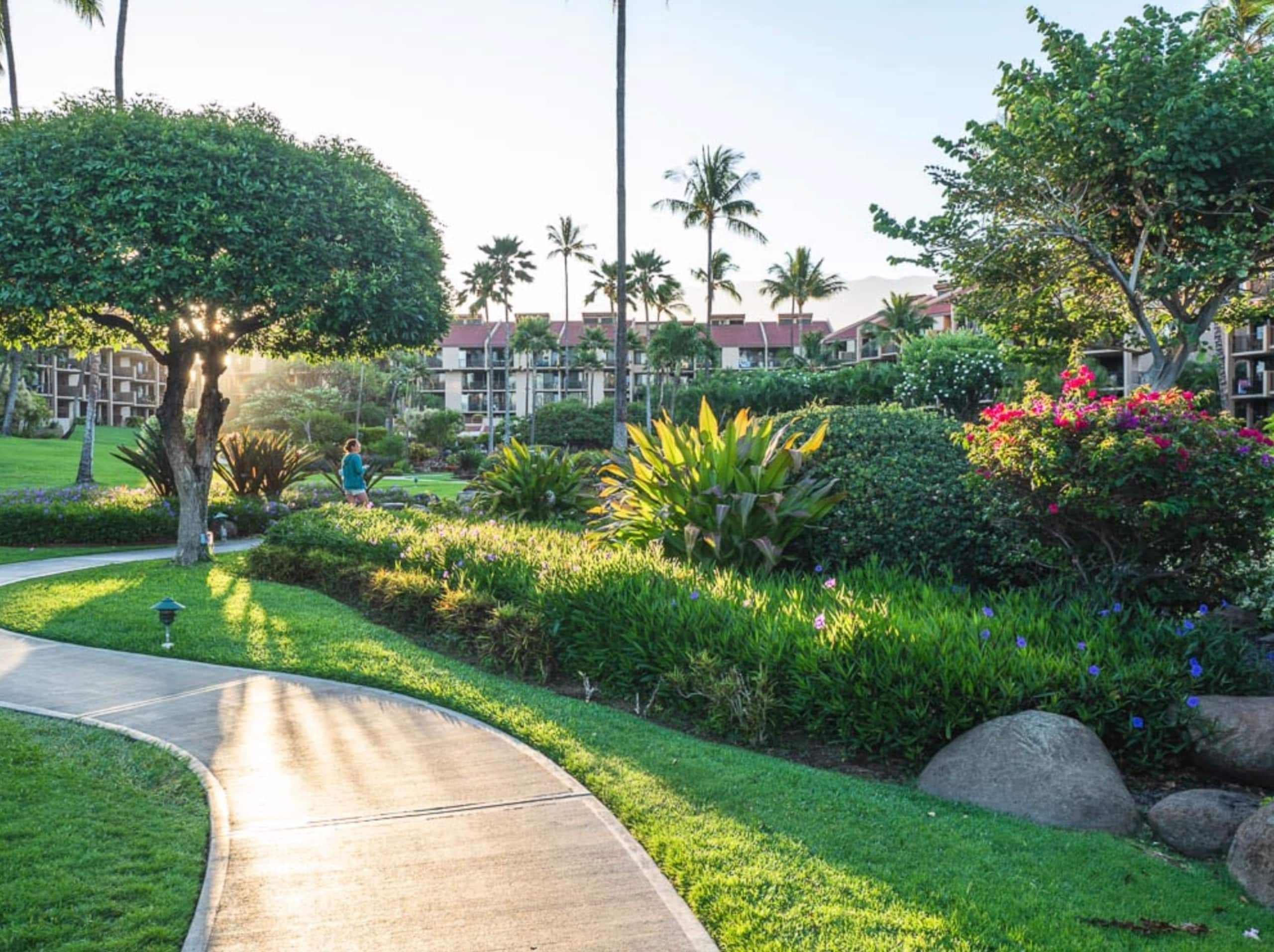 Condo in Kihei · ★5.0 · 1 bedroom · 2 beds · 2 private baths - Image 32