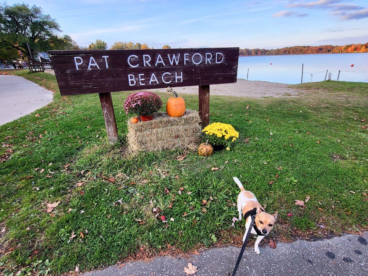 A wooden sign labeled 'Pat Crawford Beach' stands near lush green grass, accented by seasonal decorations, including pumpkins and chrysanthemums. A calm lake is visible in the background, with gentle waves reflecting the sky. A small dog is seen on a leash in the foreground.