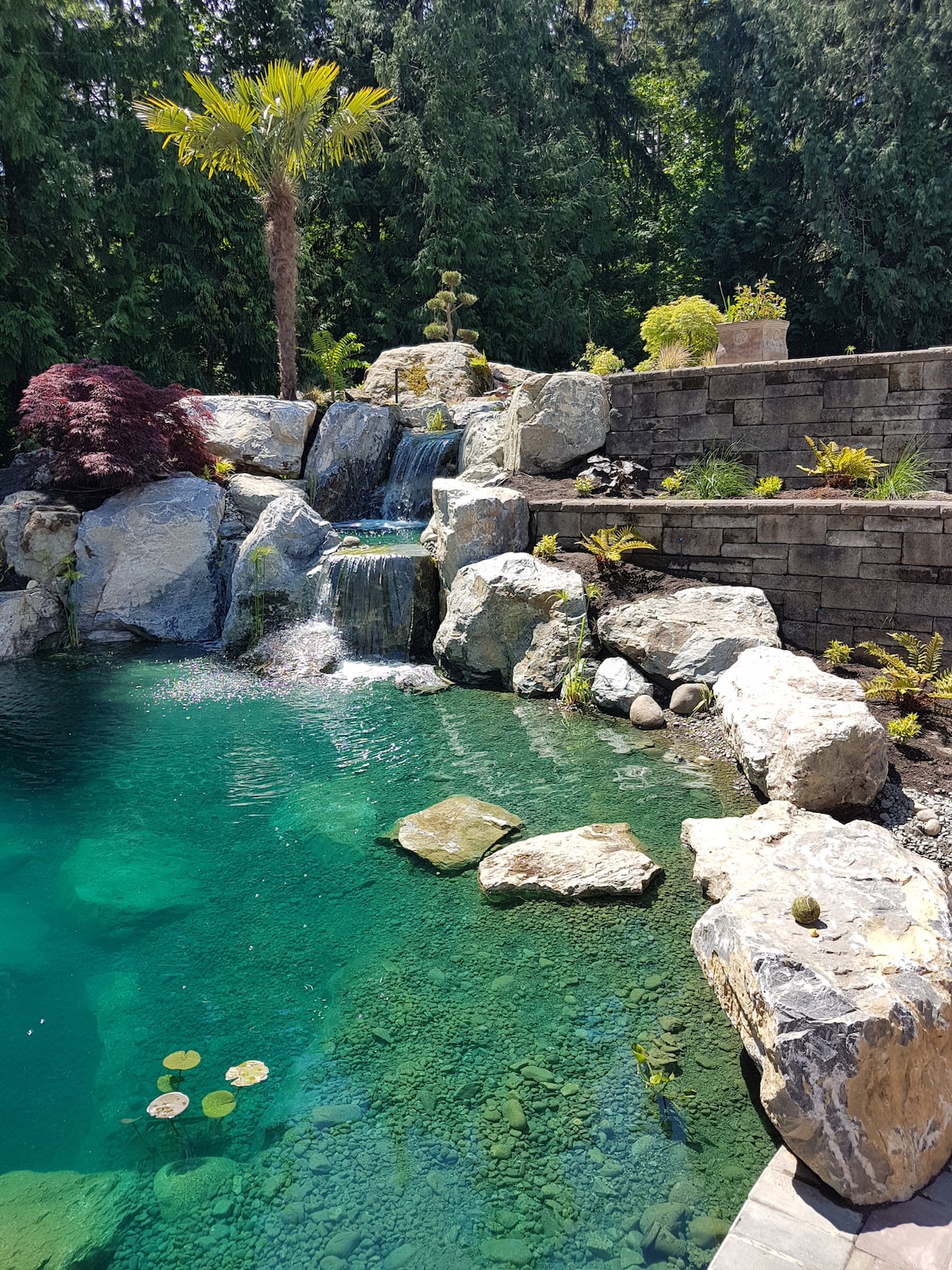 San Cobble B&B Treehouse and Water Gardens Treehouses for Rent in