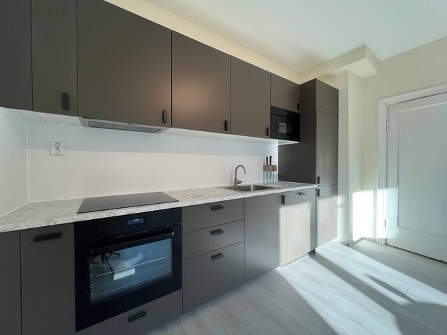 2BR in the heart of Oslo gallery image 5