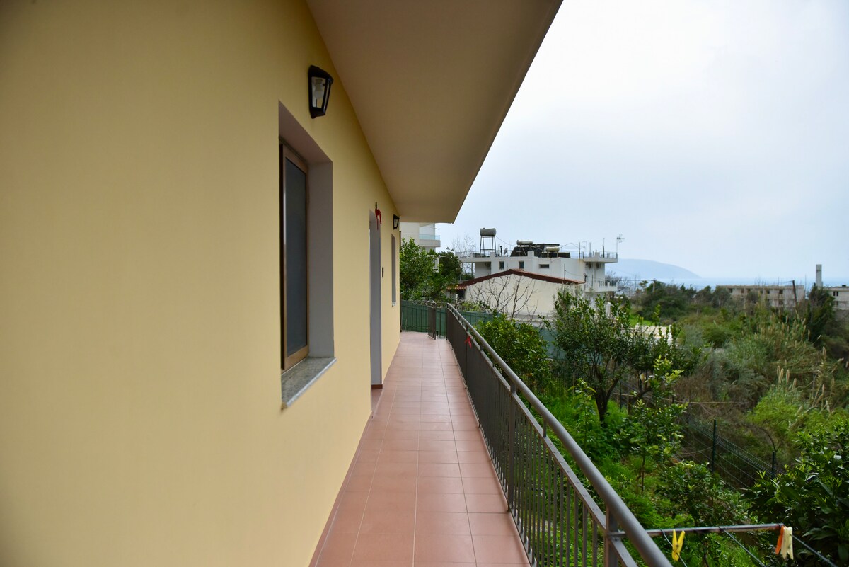 Listing 1380489632332027013