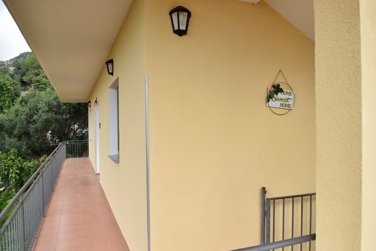 Listing 1380489632332027013