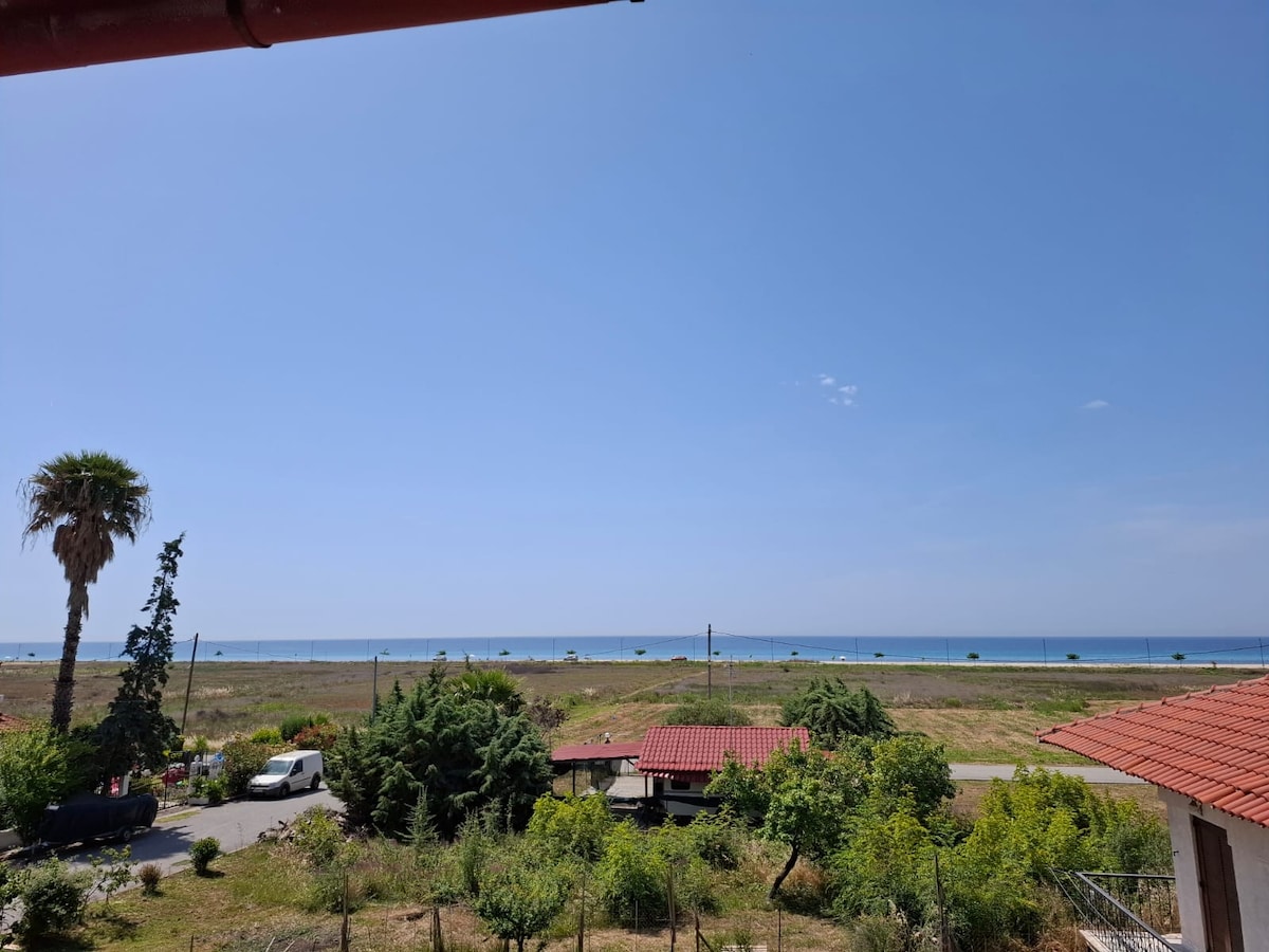 A serene coastal view captures the horizon of the blue sea under a clear sky. Lush greenery and a palm tree are visible in the foreground, with distant outlines of houses and a tranquil landscape leading towards the shoreline.
