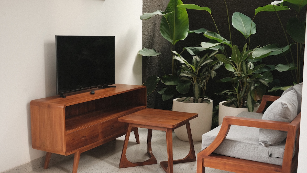 A cozy living area features a wooden entertainment unit with a television. A small wooden table is positioned between the modern chair and the entertainment unit. Lush green plants are arranged in large white pots, enhancing the natural ambiance of the space.
