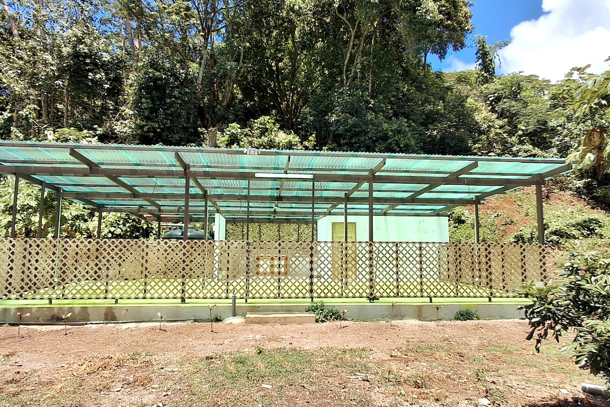A sheltered structure with a transparent roof is framed by a wooden lattice fence. The space is surrounded by lush greenery, blending with the natural landscape. Open areas are designed for communal use, providing a welcoming environment for gatherings.