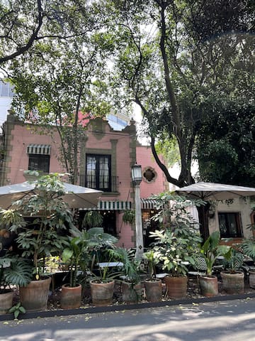 Hermosa Casa Bed&breakfast en la Condesa