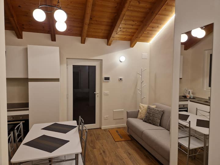 Antico Giardino - App.n.4 - Betulla - Busto Arsizio