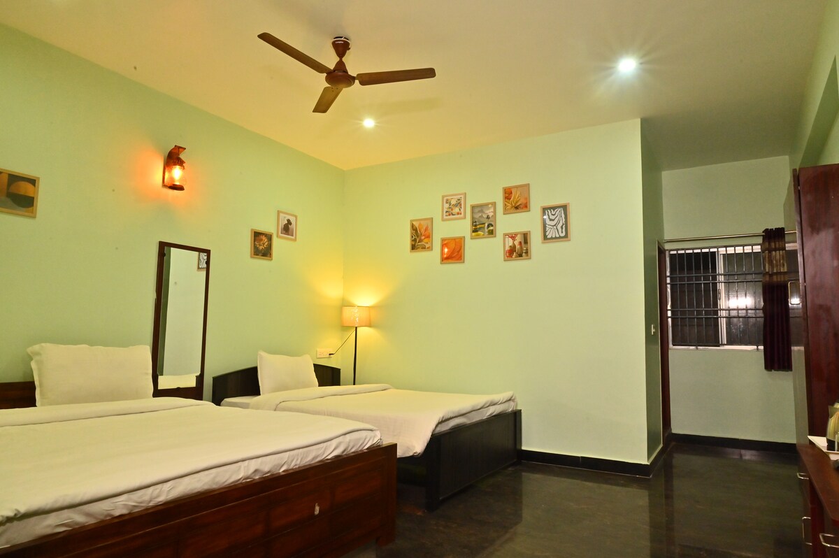 A bright and spacious sleeping area features two beds with crisp white linens and a large mirror. Soft lighting is provided by a floor lamp, while framed artworks adorn the green walls. A window allows natural light, complementing the dark wood furnishings.
