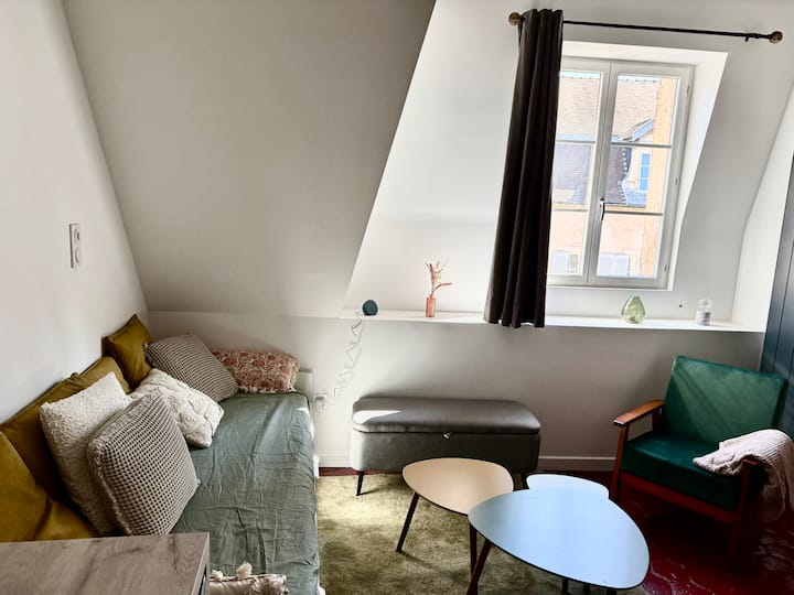 Parfait Pied à Terre Dijonnais - Dijon