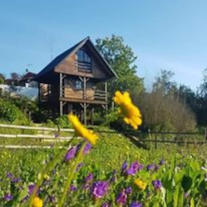 Stilt Tree House - Vale da Silva Villas