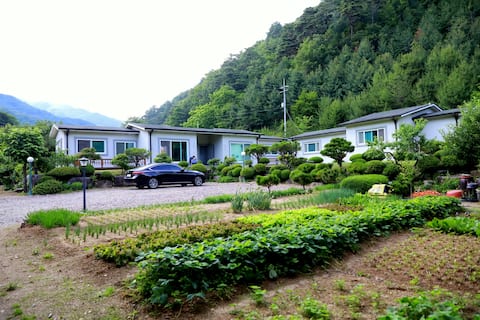 Seokjanggol Travel-Nuljo Eun (Airbnb Excellent Bed and Breakfast. Miso Country Representative) Birc