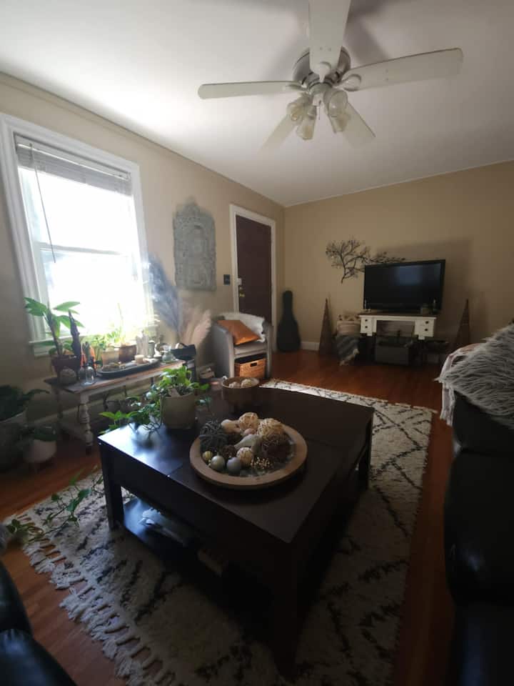 Sanctuary In The City- 1 Mile From Downtown! - Greenville, SC