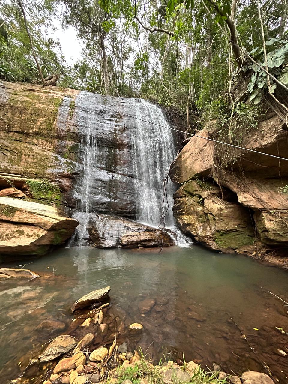 A natural waterfall cascades over rugged rocks, creating a serene pool below. Surrounded by lush greenery, the scene captures the essence of the forest, with water splashing softly into the clear, calm pool, inviting relaxation and connection with nature.