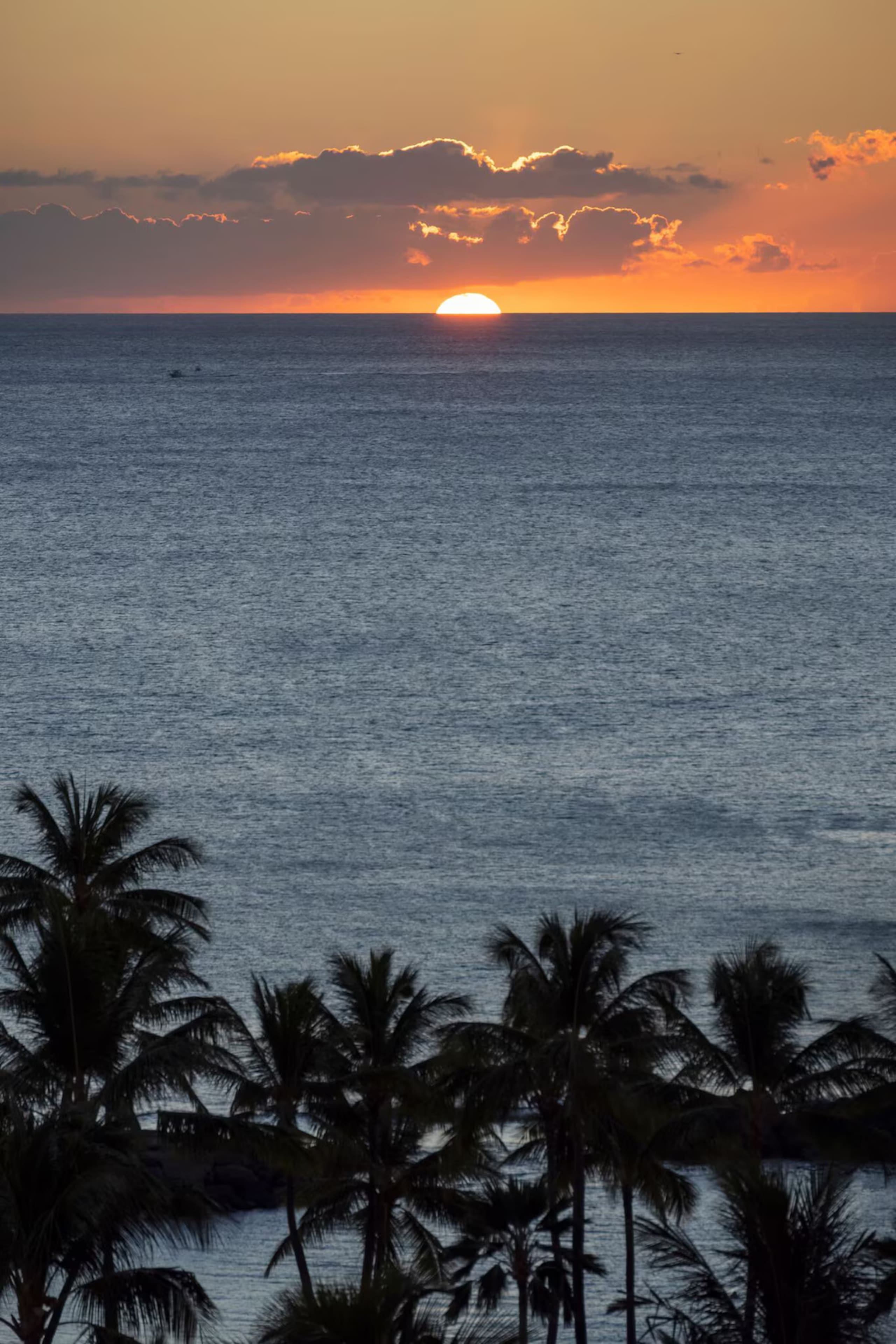 Huge 3/3 Oceanfront Penthouse - Image 15