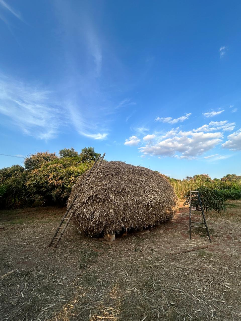 Mavu Days Farm — 2BHK Villa Stay · Weekend getaway near Bangalore at a mango farm