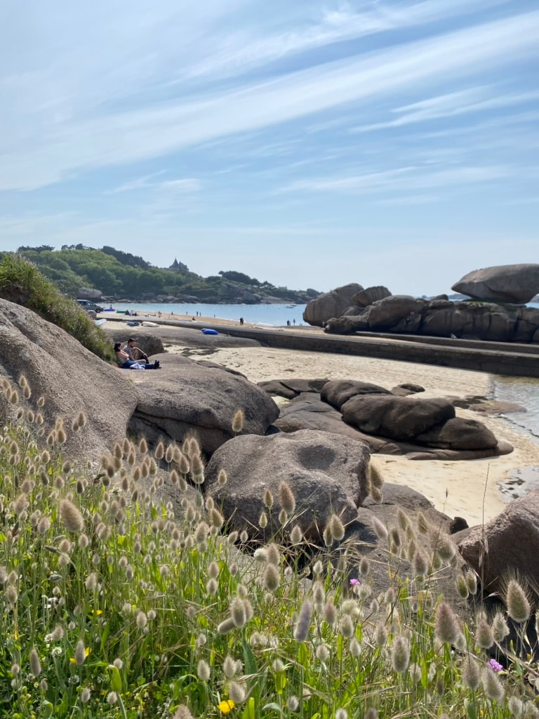 A scenic beach scene showcases smooth rocks along the shoreline, with soft sand and gentle waves. Lush greenery is visible in the foreground, while a distant coastline and hills provide a peaceful backdrop. A few people can be seen enjoying the beach in the distance.