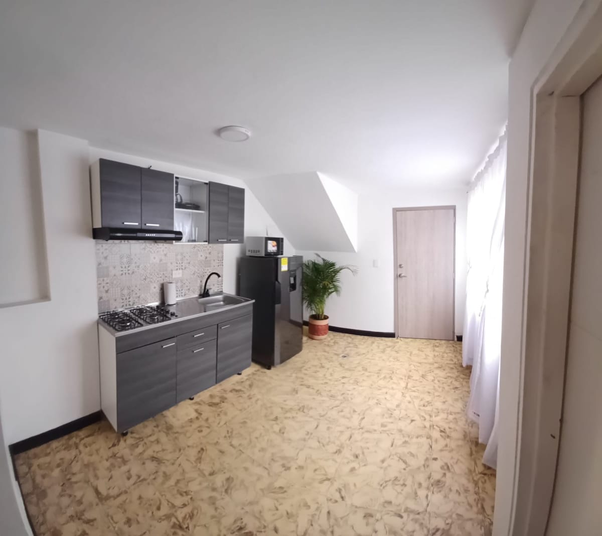 A modern kitchen area is featured with gray cabinetry and a sleek black refrigerator. The space includes a gas stove and a partial view of a potted plant positioned near the entrance. Natural light brightens the room through a window covered by sheer curtains.