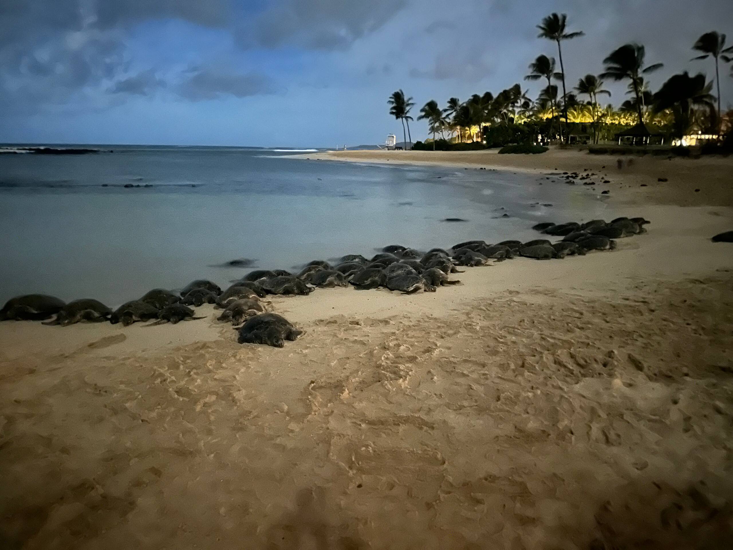 Hale Konani at Pili Mai - Photo 21