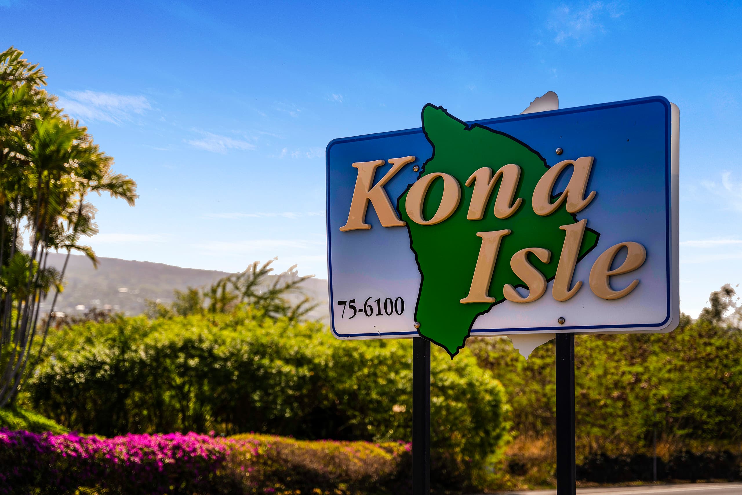 Coastal Elegance Kona Isle. Level Entry. Wi-Fi. - Image 33