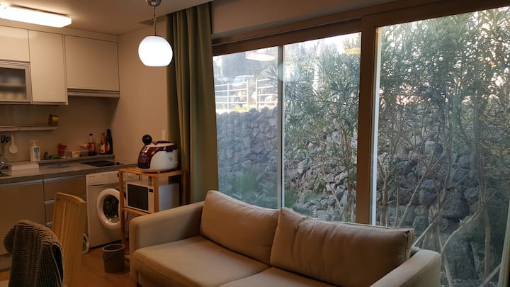 #마당 있는 제주 독채 #온돌방+침대방 #방 3개#세탁#취사 #프라이빗 바베큐 #가족여행 - 済州