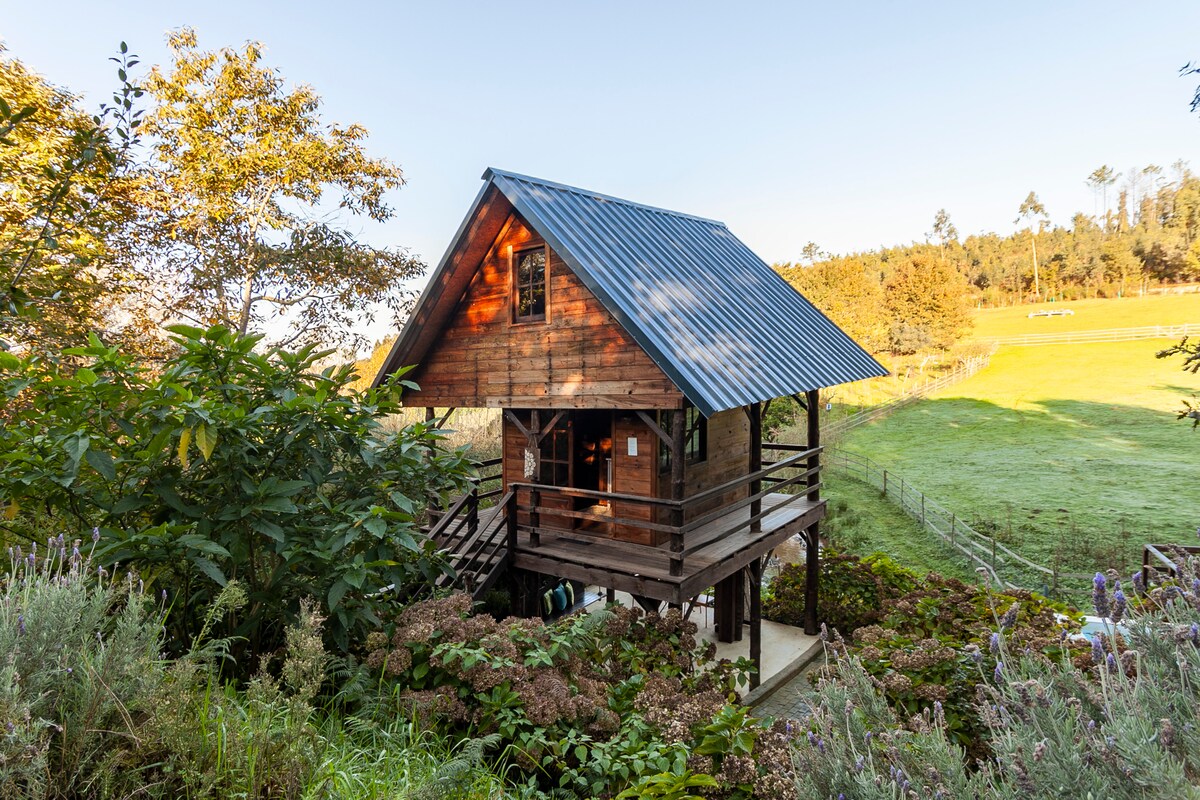 A charming wooden house is set amongst lush greenery, featuring a sloped roof and a covered porch. The structure is elevated, with a view of surrounding nature, including distant trees and open fields. Natural light highlights the warm tones of the wood.