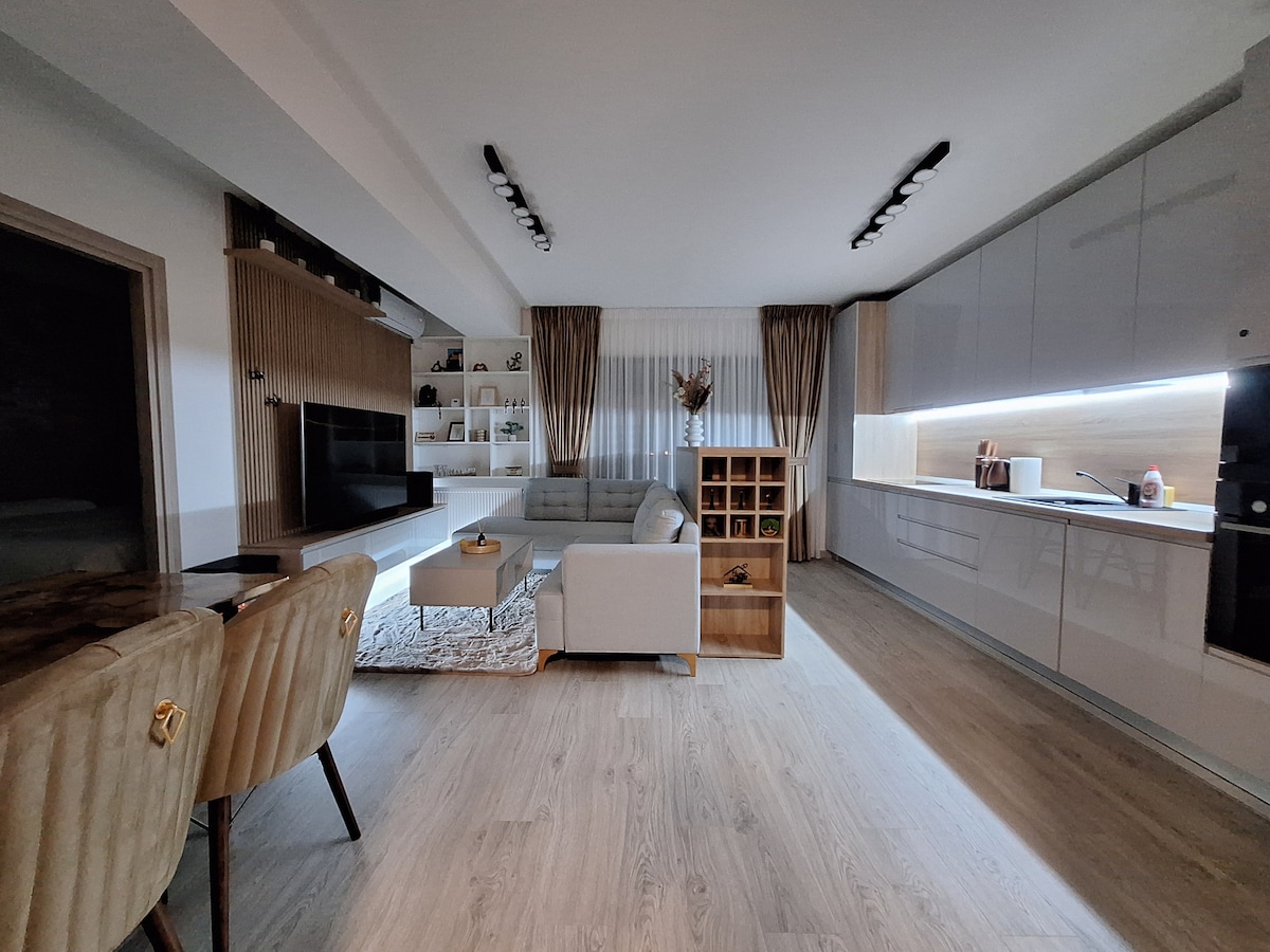 A modern living area features an open layout with a comfortable sectional sofa and a coffee table atop a light rug. A sleek kitchen with glossy cabinets is visible, and natural light filters through stylish curtains, creating a warm and inviting space.