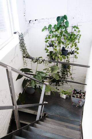 Lightful architectural house gallery image 2