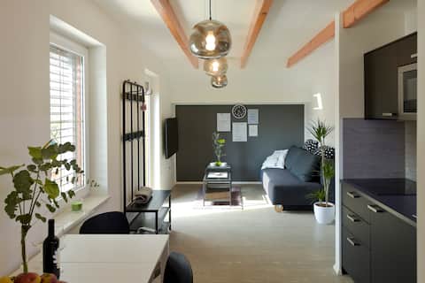 Top performing Airbnb: Apartment Nija_App2 in Koritno