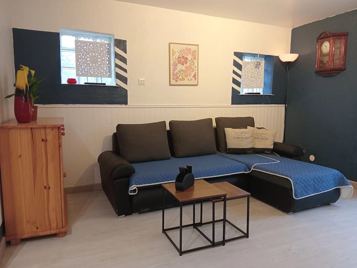 Maison 4 Personnes Avec Jardin. - Tonneins