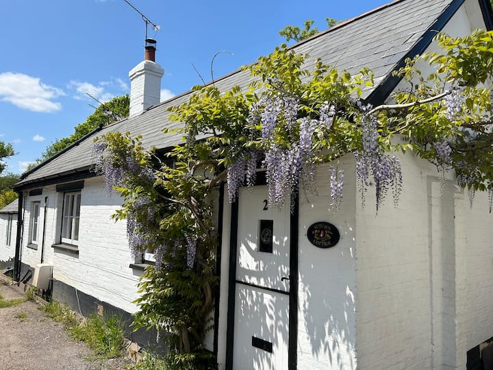 Charming Dorset Seaside Escape - New Milton