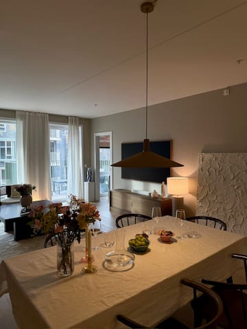 Luxorious apartment in Bjørvika