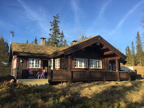 Great and large family cabin with annex!
