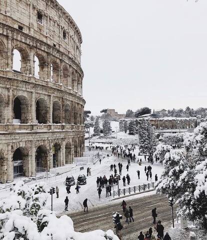 -DOMUSAUREA295 AT THE COLOSSEUM- gallery image 5