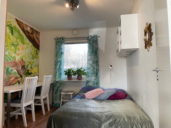 เตียงโซฟาสบายขนาด 140 ซม.