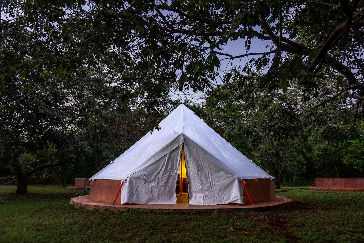 A spacious tent is set in a natural environment, surrounded by lush greenery and tall trees. The white exterior is contrasted by orange accents, and soft light glows from within the entrance, inviting guests to explore the space.