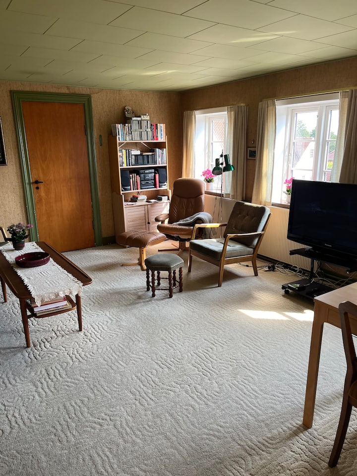 Lejlighed I Den Gamle Boghandel - Denemarken