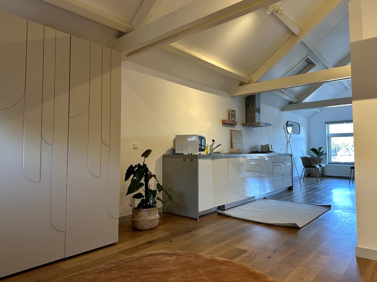 An open living space is highlighted by warm wooden flooring and high ceilings. A modern kitchen with sleek white cabinetry and kitchen appliances can be seen. Natural light fills the room through a large window, illuminating nearby plants and inviting simplicity.