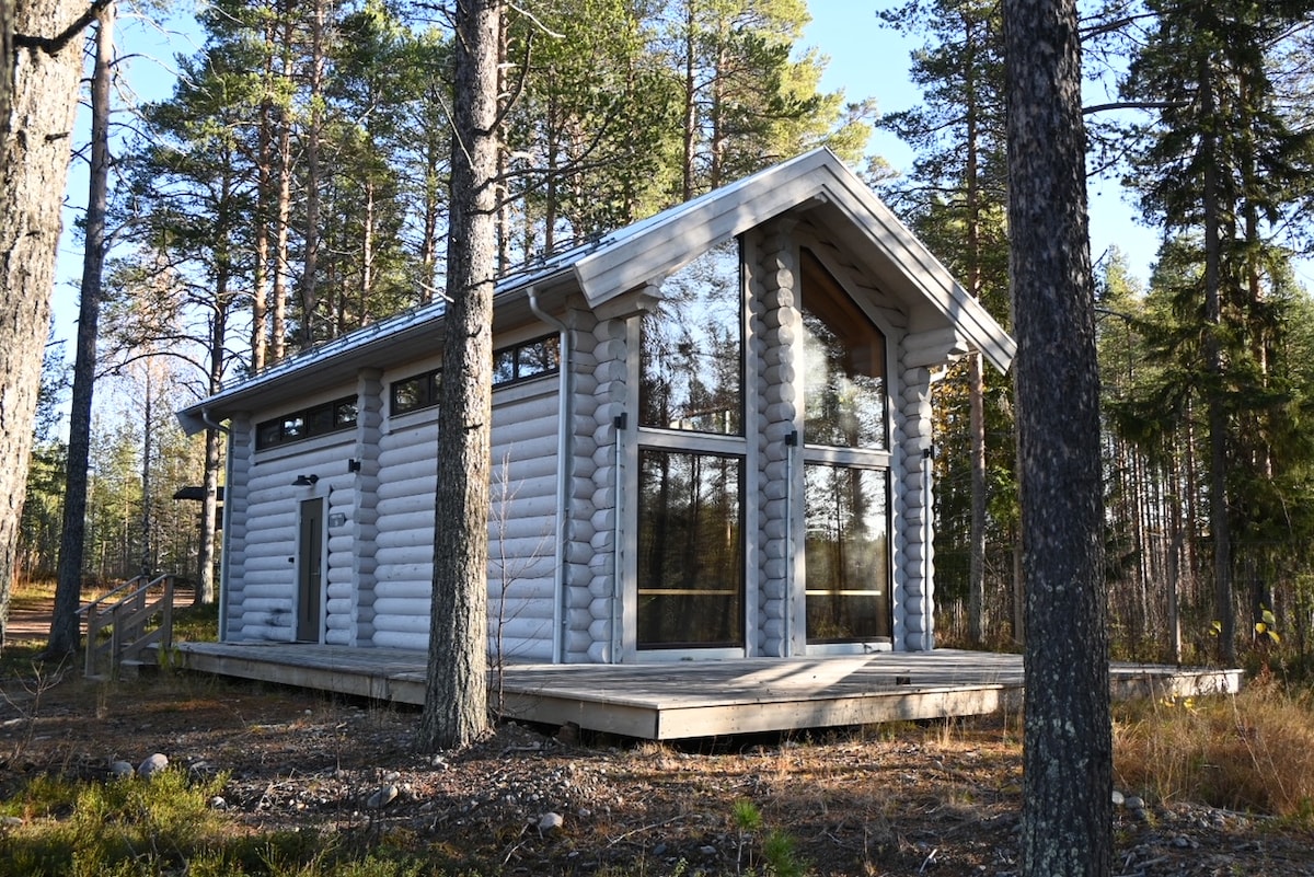 A charming timber lodge is nestled among tall trees, featuring a large front deck. The facade combines wood logs with expansive glass panels that allow natural light to fill the interior. A serene natural setting surrounds the lodge, creating a sense of tranquility.