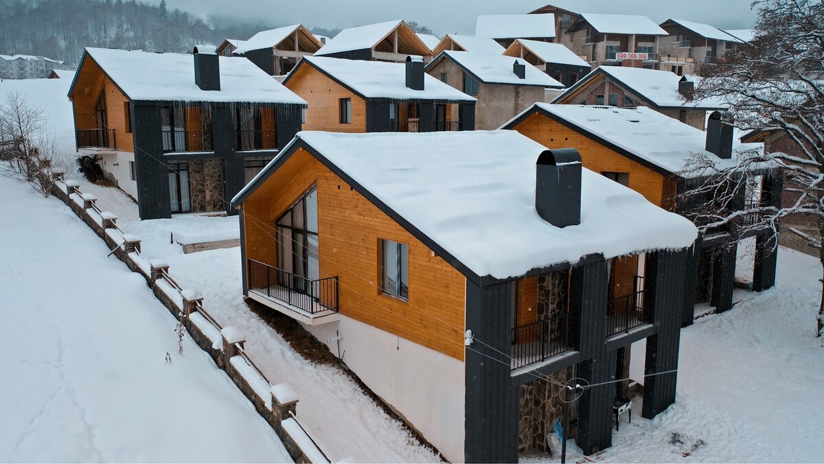 A cluster of modern chalets is nestled among a blanket of fresh snow, showcasing a blend of natural wood and dark paneling. The structures feature large windows and balconies, providing inviting outdoor views, while the surrounding landscape is dotted with trees and snow-covered ground.