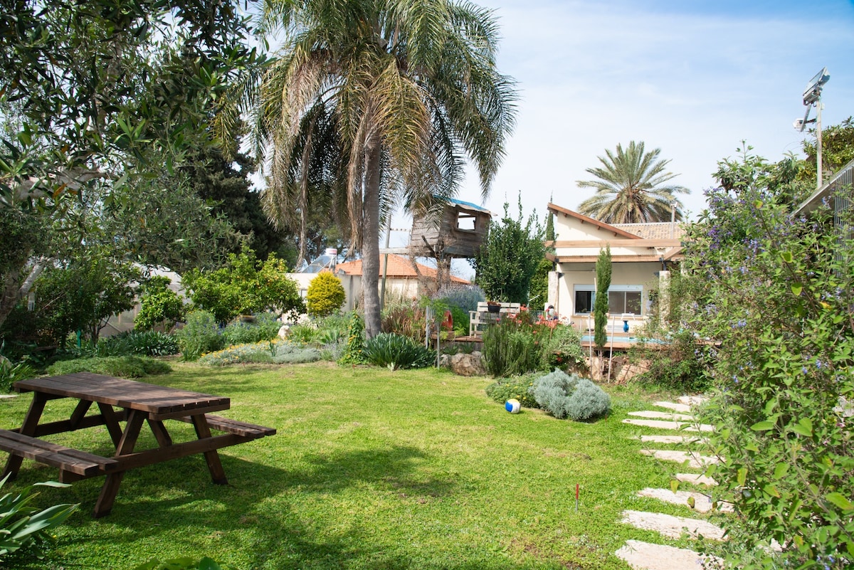 A spacious garden area is seen, featuring a wooden picnic table on lush green grass. Various plants, including palm trees, surround the space, while a pathway of stepping stones leads towards a light-colored building visible in the background.