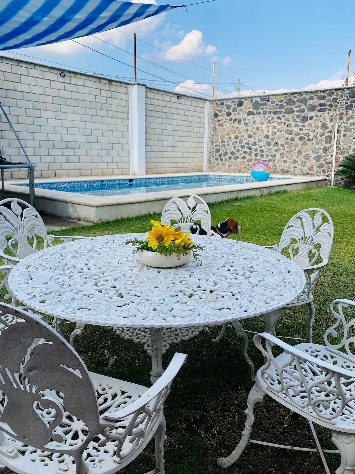 An outdoor seating area features a round table surrounded by six intricately designed chairs. A vase with yellow flowers rests on the table. In the background, a refreshing pool is visible, edged by a stone wall, with hints of greenery enhancing the serene ambiance.