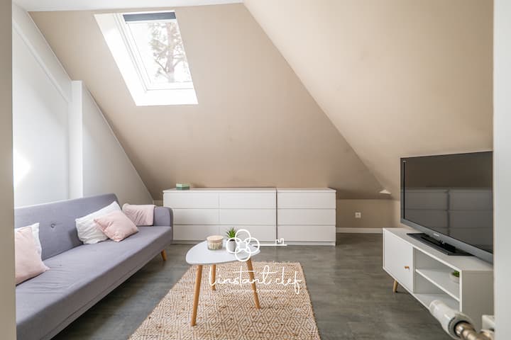 Coin détente sous les toits – Un espace chaleureux et lumineux avec canapé-lit, TV et décoration douce pour des moments de repos ou de divertissement.