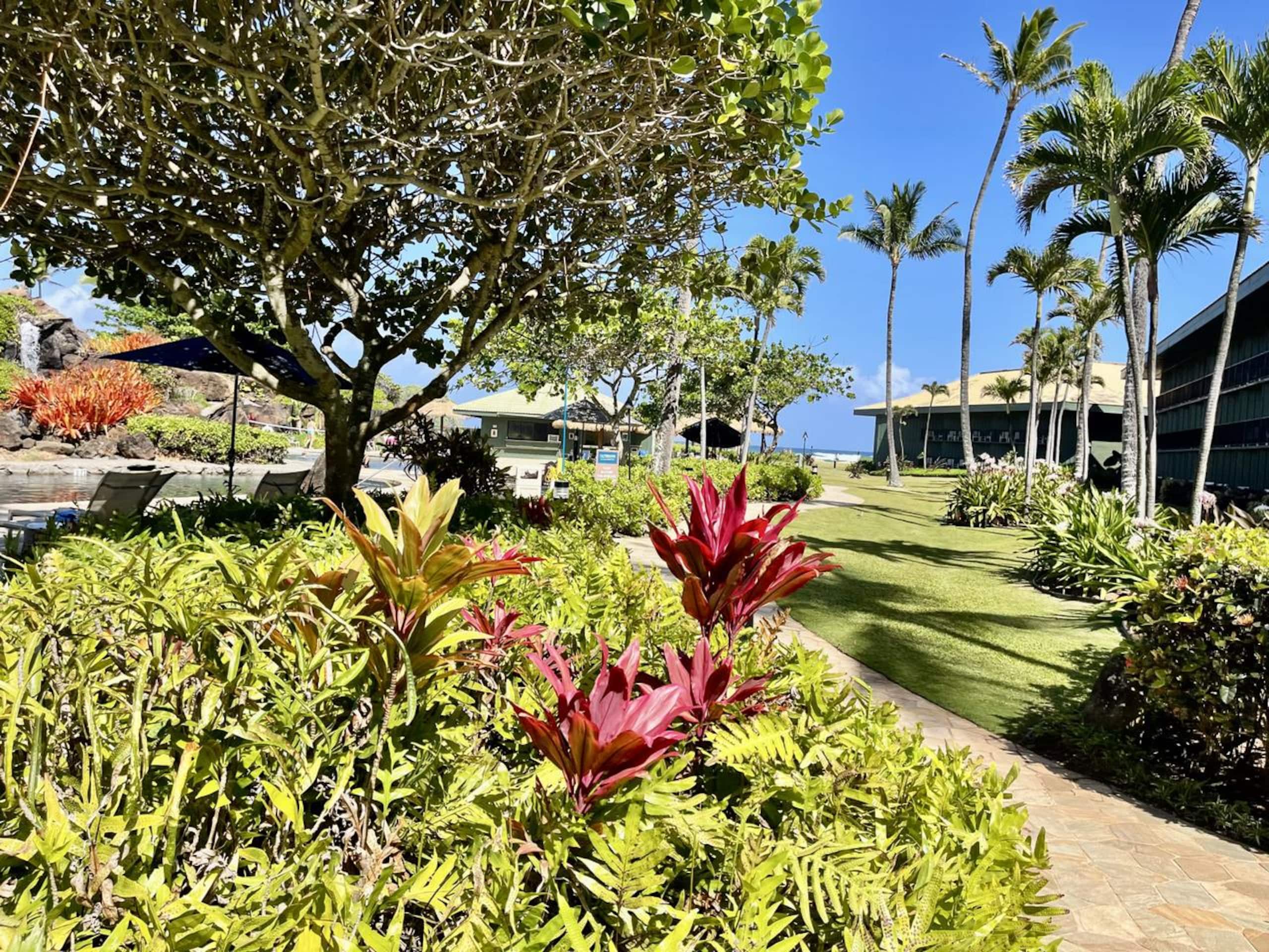 Resort in Lihue · ★4.95 · 1 bedroom · 2 beds · 1 private bath - Image 27